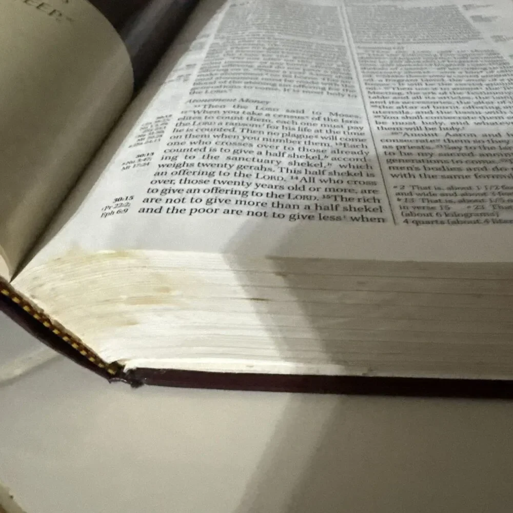 The Knowing Jesus Study Bible NIV By Ed Hindson